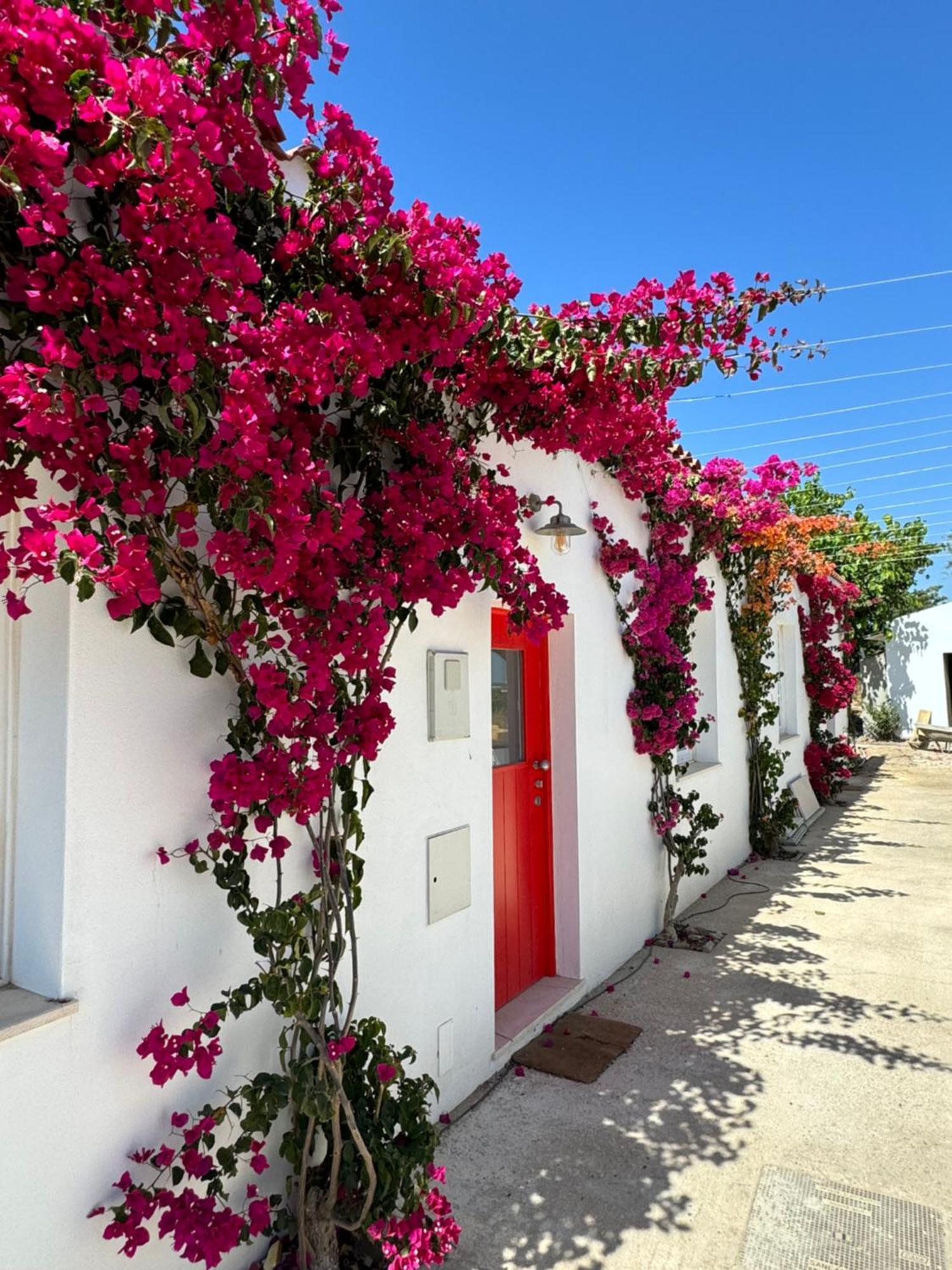 Quinta Castor Βίλα Vila Nova de Cacela Εξωτερικό φωτογραφία