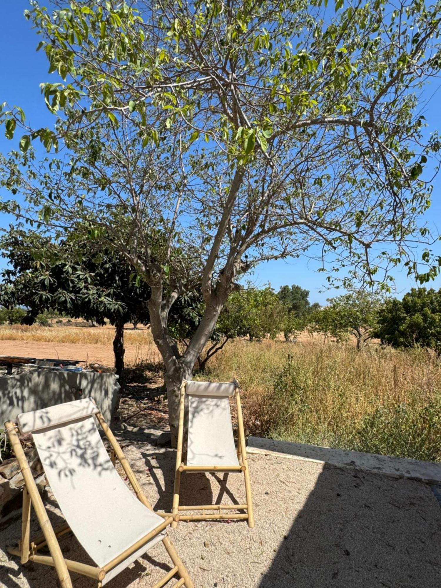 Quinta Castor Βίλα Vila Nova de Cacela Εξωτερικό φωτογραφία
