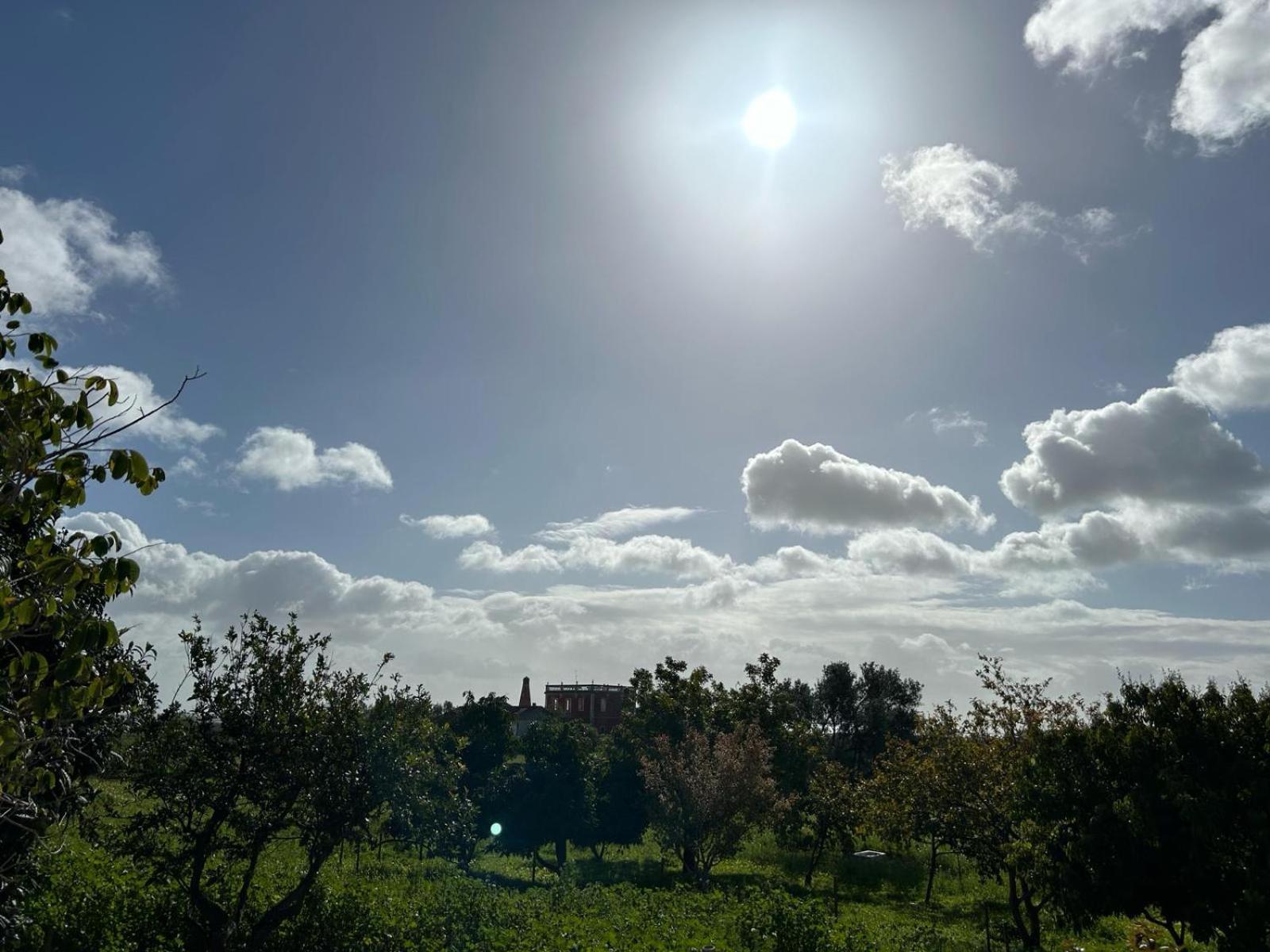 Quinta Castor Βίλα Vila Nova de Cacela Εξωτερικό φωτογραφία